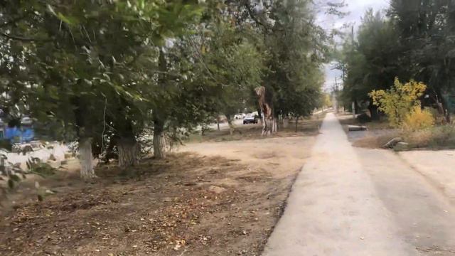 Актобе. Р-он «Москва» . Просто поговорим смотреть онлайн