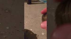 VQ25DD VQ30DD МУФТ VVT I