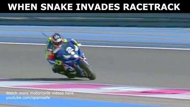 ? Змея кусает байкера! Или разрыв цепи? смотреть онлайн