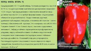 Перец сладкий Князь Игорь F1