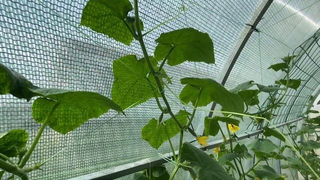 КАК СЭКОНОМИТЬ на морилке для доски/Ландшафтный дизайн своими руками/ Новый цветник/Переезд на юг смотреть онлайн