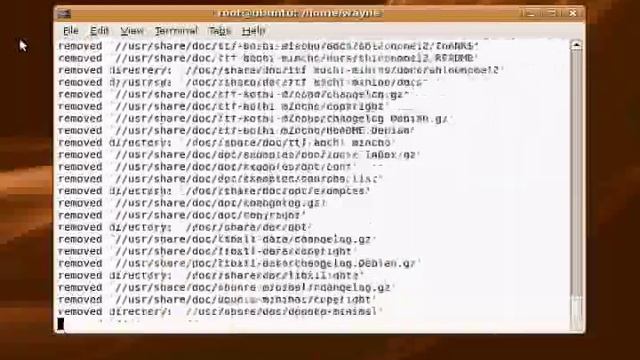 Running rm -rf / on Linux смотреть онлайн