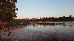 Человек ходит по ПЛАНЕТЕ