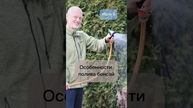 Особенности полива бонсай. Часть 3.