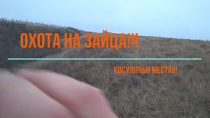Охота на зайца - косулячьи места!!!