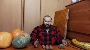 Картофель Бельмондо и Беллароза. Почему нам нравятся эти сорта.