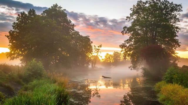 Не отходите от молитвы, не возбудив в сердце одного из этих чувств. Святитель Феофан Затворник. смотреть онлайн