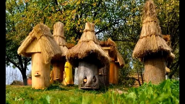 Какой бывает мед? смотреть онлайн