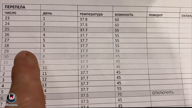 Инкубация перепелиного яйца. Вывод 98%. Видеоурок. Incubating a quail egg video tutorial.