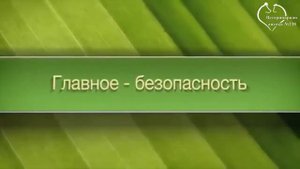 Обзор Медилис ципер