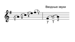 Гамма соль мажор. Вводные звуки. Тетрахорды. Сольфеджио.