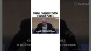О чём  сказка про золотую рыбку?