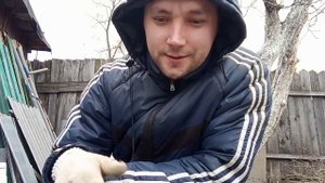 Делаем лунки в земле у яблони и насыпаем туда витамины=хороший урожай !