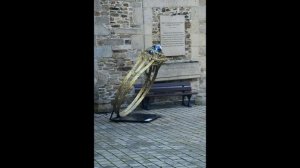 nikon d5100 + nikon 18_140mm DX VR G ED