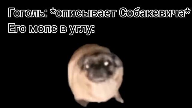 Бытовуха Гоголя и его мопса, ничего необычного смотреть онлайн