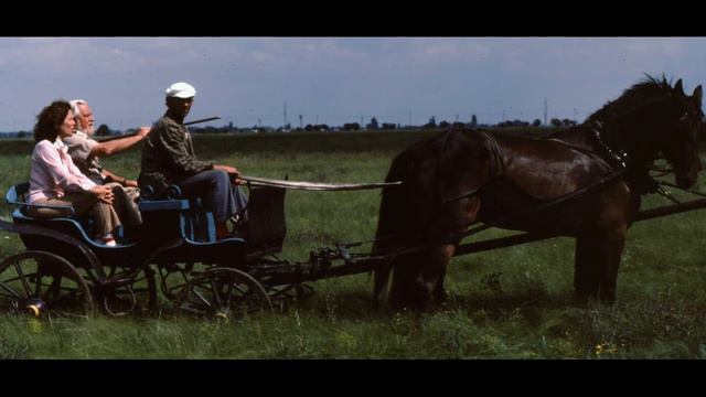 Даррелл на Волге смотреть онлайн