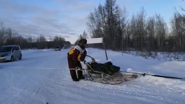 VID 20200303 WA0001 смотреть онлайн