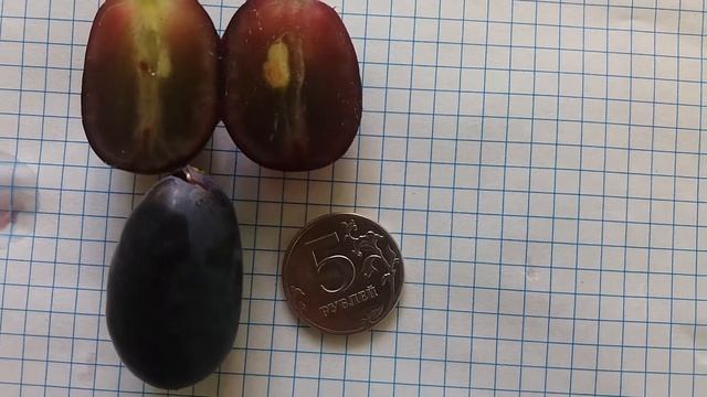 Калининградский виноград. Фуршетный.
