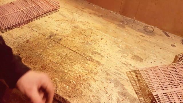 Как очистить разделительные решетки от воска и прополиса.
