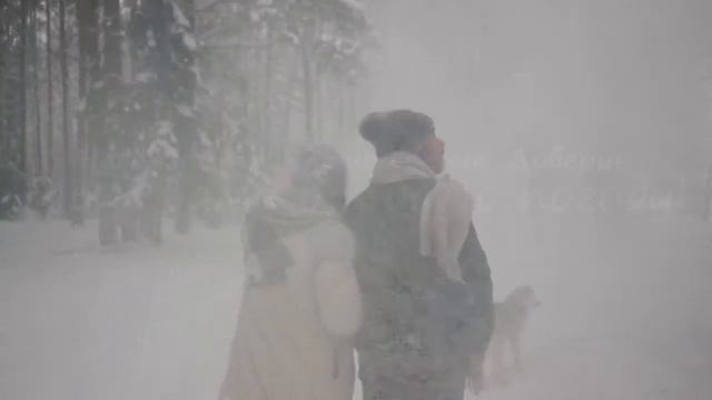 Налоги в сша. Бухгалтер в США. Бизнес в США. Бухучёт в США. Инвестиции. СPA in USA. Bookkeeping. смотреть онлайн