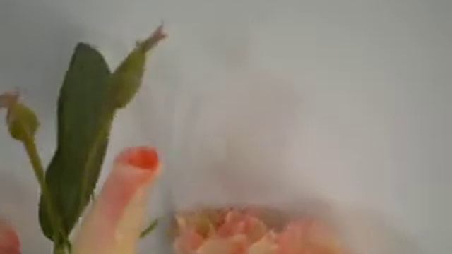 Fleur artificielle lysianthus смотреть онлайн