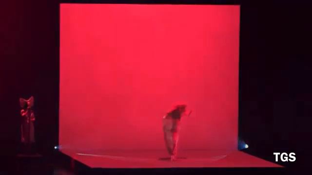 Sia - Fire Meet Gasoline (Live) "Nostalgic For The Present Tour" смотреть онлайн