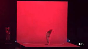 Sia - Fire Meet Gasoline (Live) "Nostalgic For The Present Tour"