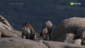 Жизнь на скалах (документальный фильм, 2023)