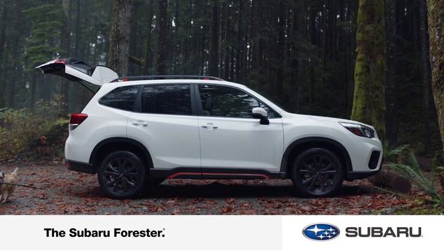 Subaru Forester - Extra-Wide Rear Gate - Maintain the Love Complimentary Maintenance смотреть онлайн