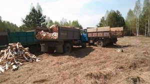 вытаскиваем зил 131 на газ 66 и зил 130