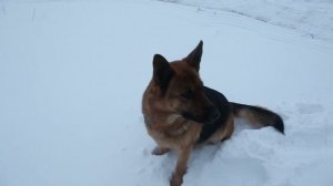 Этнокомплекс «Ясна»