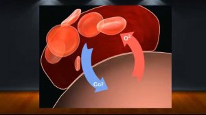 Последствия попадания цианидов в организм