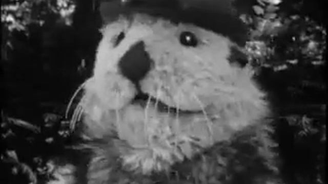 Henry the Otter - Short Film Trailer смотреть онлайн