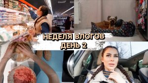 НЕДЕЛЯ ВЛОГОВ ДЕНЬ 2 | ДЕЛАЮ КОТЛЕТЫ | СКОЛЬКО ТРАТИМ НА ПРОДУКТЫ