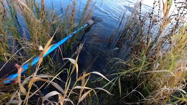 Удачный 3.10.2020 смотреть онлайн