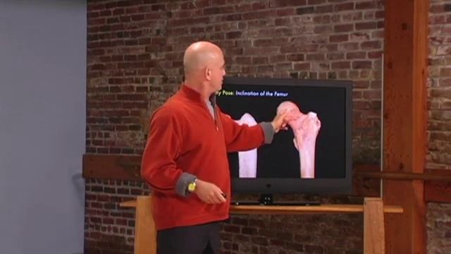 Paul Grilley The Bare Bones of Yoga preview смотреть онлайн