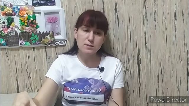 гербициды от сорняков