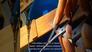 Ножницы для стрижки собак: филировочные и изогнутые варианты