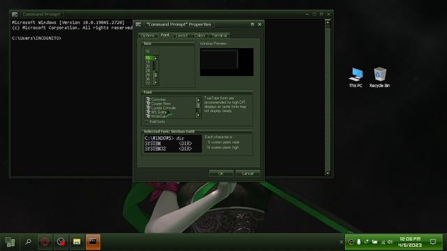 ?️Customizing Your Command Prompt in Windows