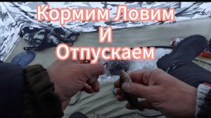 Кормим Ловим и Отпускаем Рыбалка на Леща Смотрите все 3 Части Видео Всем Спасибо!!! За просмотр