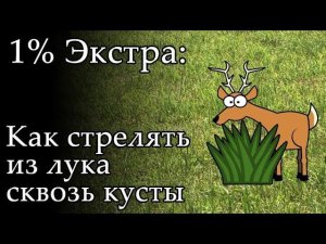 1% Экстра: Охота с блочным луком, стрельба с огибанием препятствия
