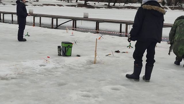 КРХ Белая Дача,запуск форели и обстановка на спорте,форель избирательна и аккуратна!Навеска до 3 к смотреть онлайн