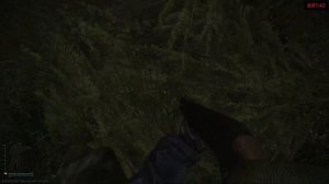 КПП Диких на Таможне - выходы EFT #1