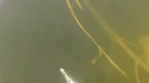 Подводная охота в Волгограде