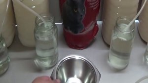 Сахарная брага и выбор дрожжей. Домашний самогон. Купить самогонный аппарат недорого