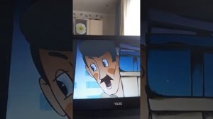 Чучело мяучело