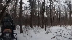 Такую Тайгу мало кто видел. На буране по тайге. Offroad. Съездил туда где никогда не было дорог.