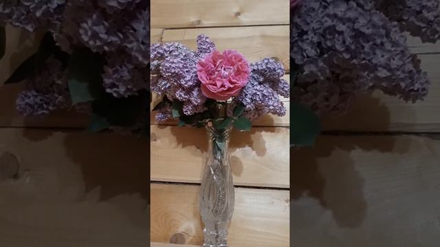 #весна #цветы #букетсиренисрозой / Букет сирени с розой . Дачная красота