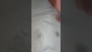 КАК У МЕНЯ РАЗВЕЛСЯ ГРЕНДАЛЬСКИЙ ЧЕРВЬ ДЛЯ КОРМЛЕНИЯ РЫБОК