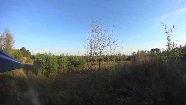 Электроугли
